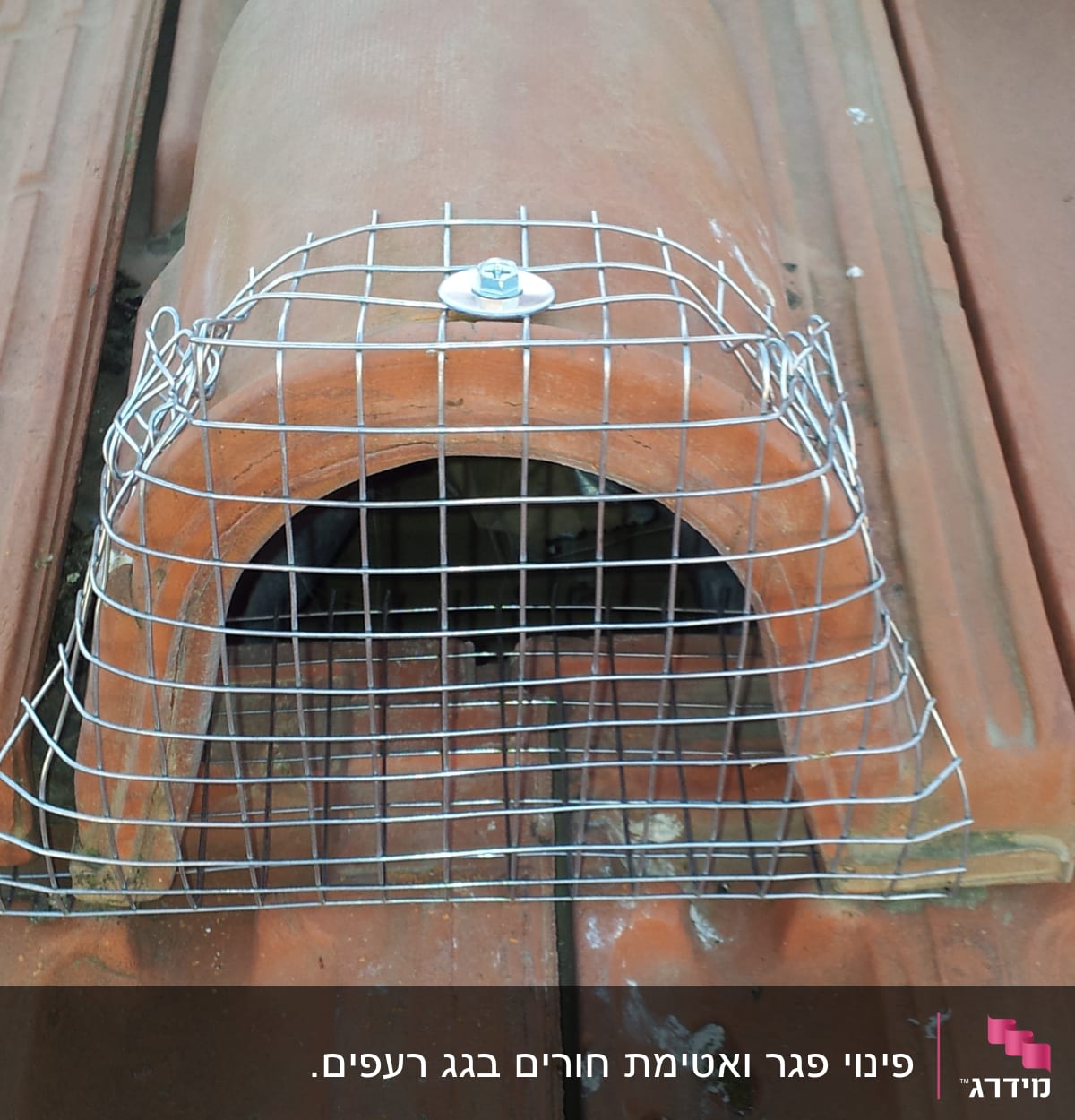 רשת מתכת על גג למניעת כניסת יונים